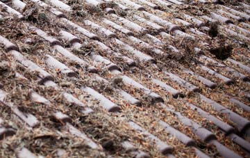 Llong roof cleaning companies